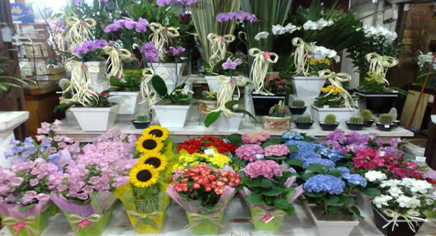 loja especializada em flores