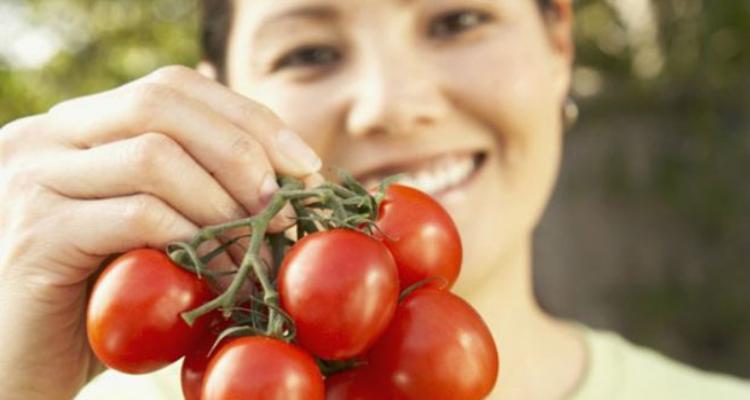 Como começar um negócio de plantação de tomate e venda